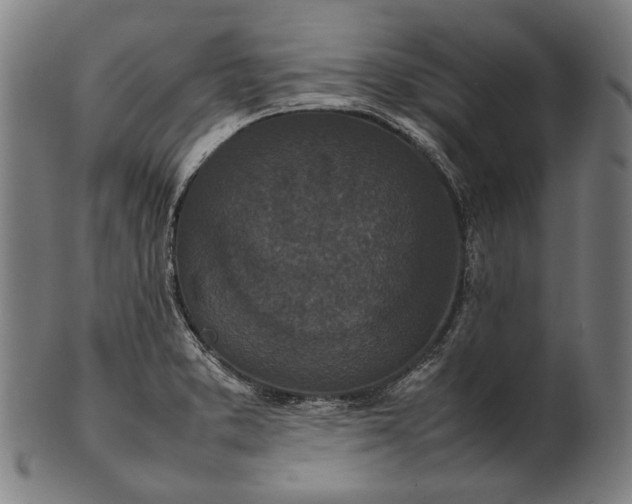 X0000101221373200807111046
