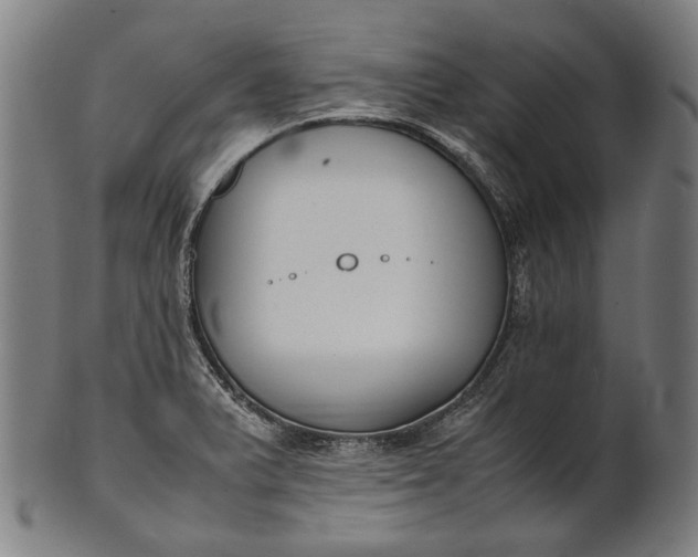 X0000101221375200807111046