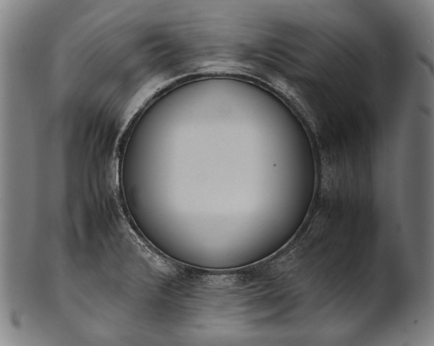 X0000101221376200807111046