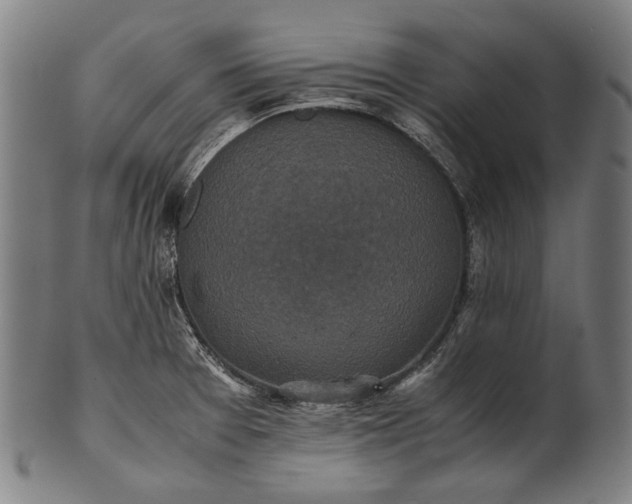 X0000101221377200807111046