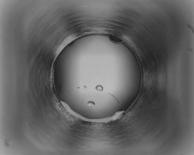 X0000101221378200807111046