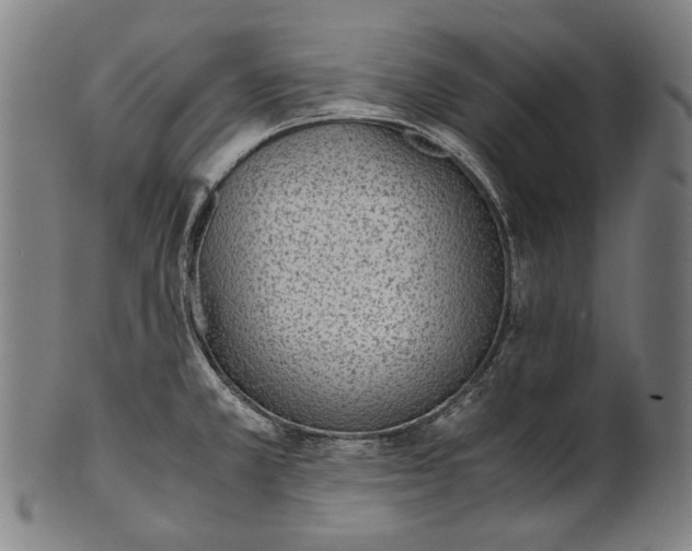 X0000101221381200807111046