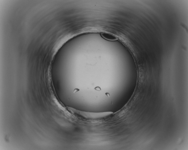X0000101221382200807111046