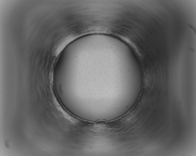 X0000101221383200807111046