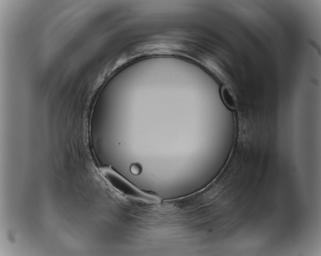 X0000101221384200807111046