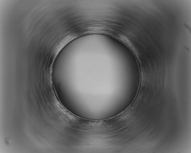 X0000101221386200807111046