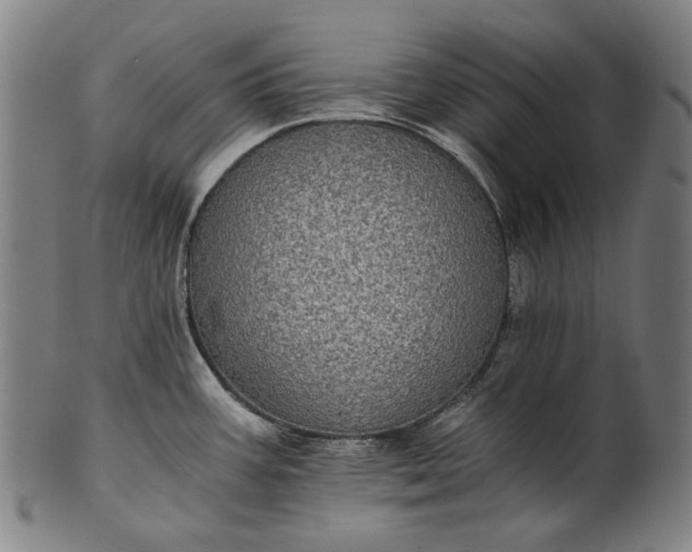 X0000101221387200807111046