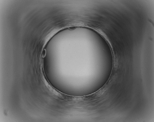 X0000101221389200807111046