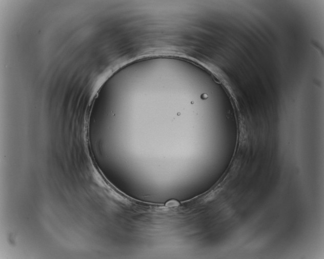 X0000101221390200807111046
