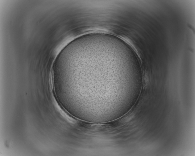 X0000101221391200807111046