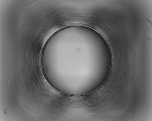 X0000101221392200807111046