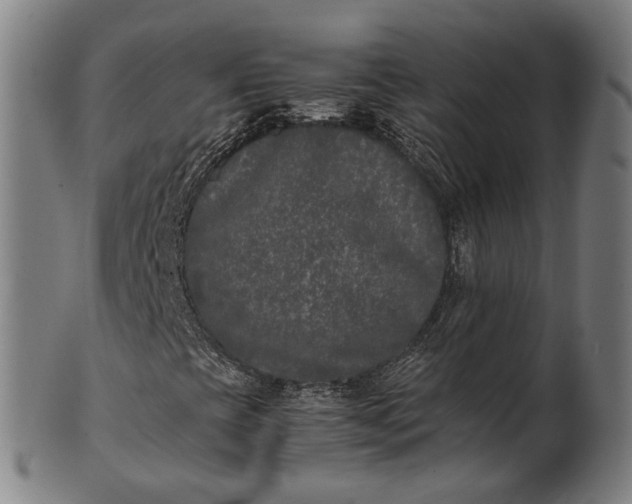 X0000101221393200807111045