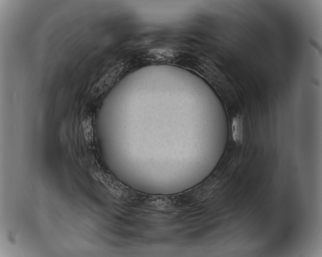 X0000101221395200807111045