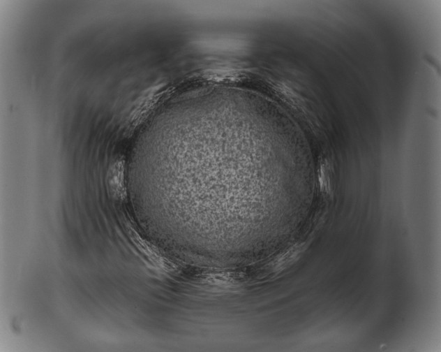 X0000101221396200807111046