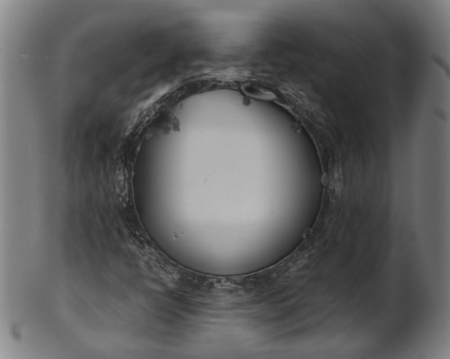 X0000101221398200807111046