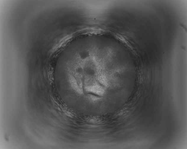 X0000101221399200807111046