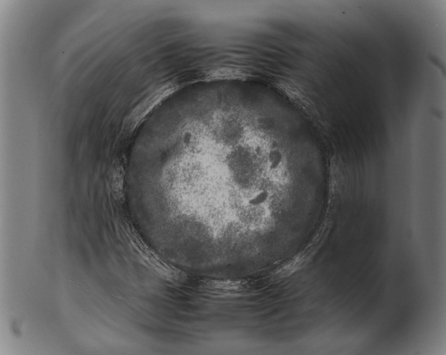 X0000101221401200807111046