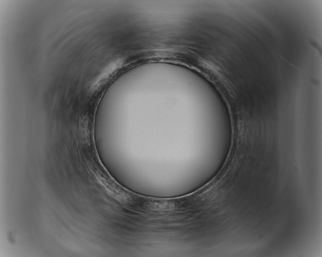 X0000101221403200807111046