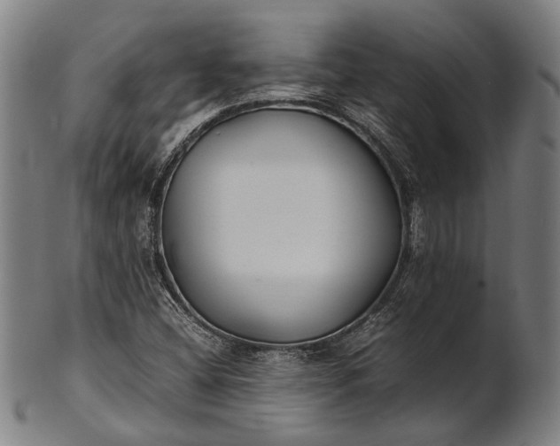 X0000101221404200807111046