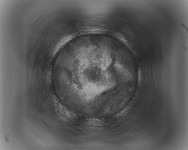 X0000101221405200807111046