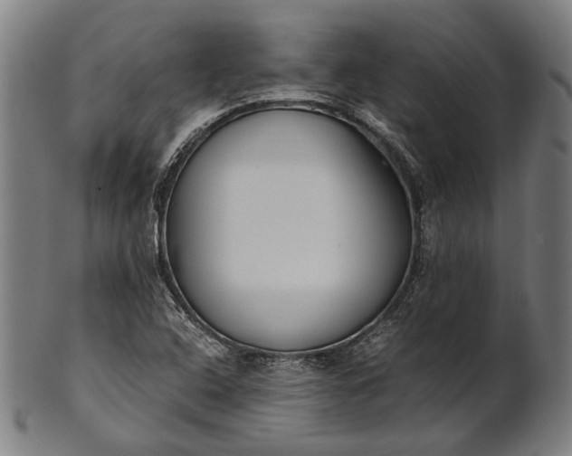 X0000101221408200807111046