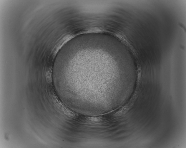 X0000101221409200807111046