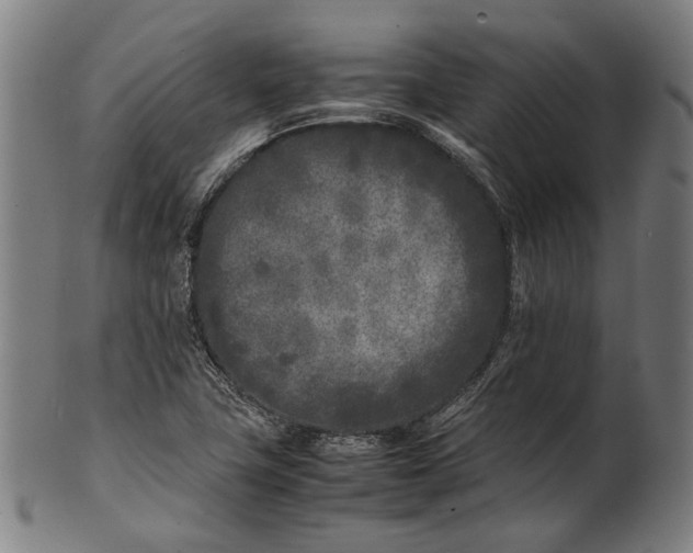 X0000101221411200807111046