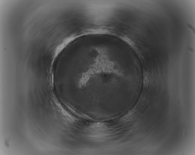 X0000101221414200807111046
