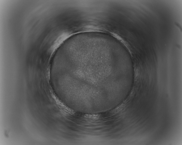 X0000101221415200807111046