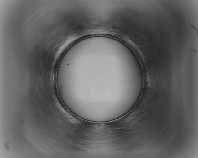 X0000101221416200807111046