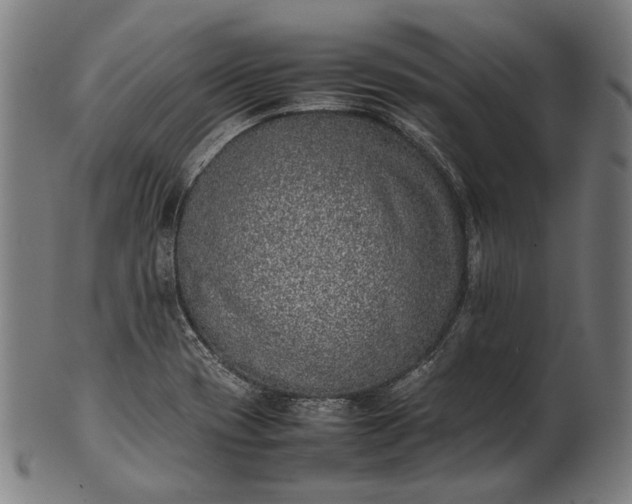 X0000101221417200807111046