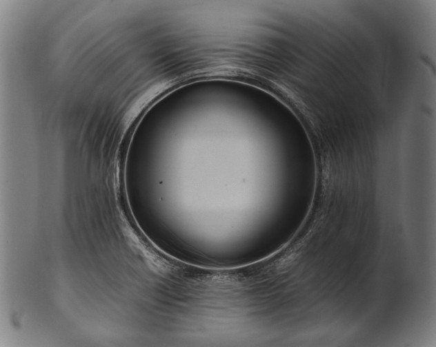 X0000101221418200807111046