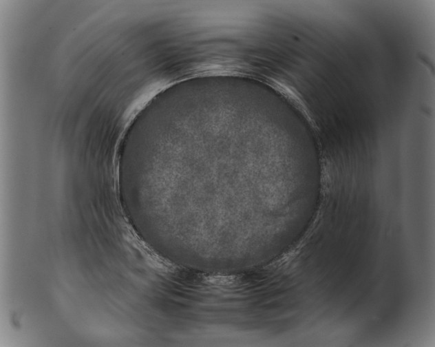X0000101221419200807111046
