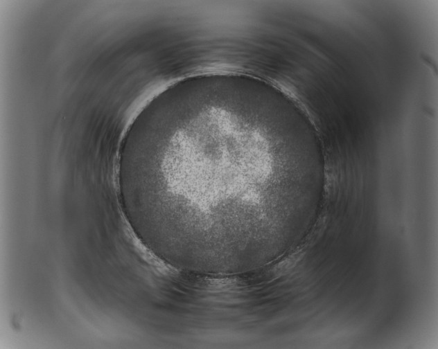 X0000101221421200807111046