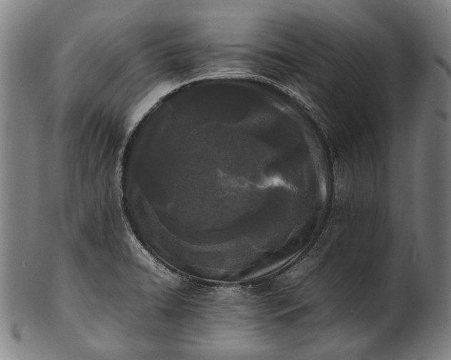 X0000101221422200807111046