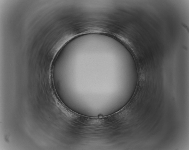 X0000101221423200807111046