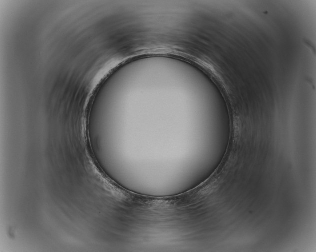 X0000101221424200807111046
