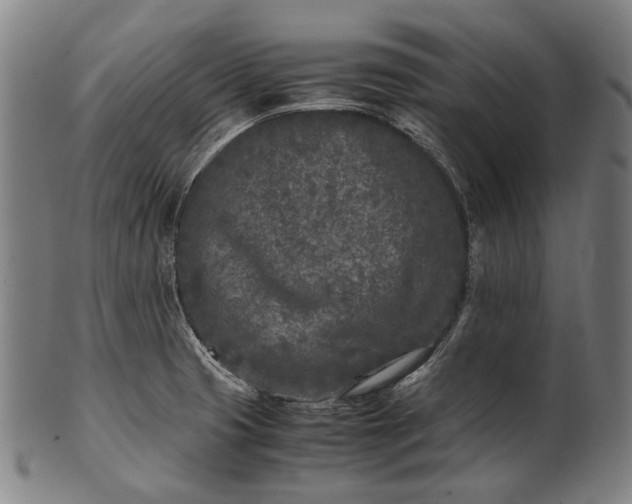 X0000101221425200807111046