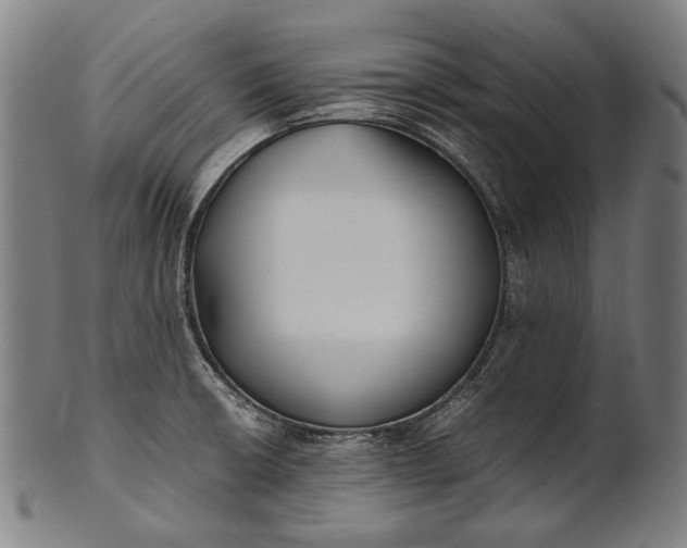 X0000101221426200807111046