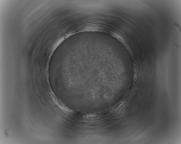 X0000101221427200807111046
