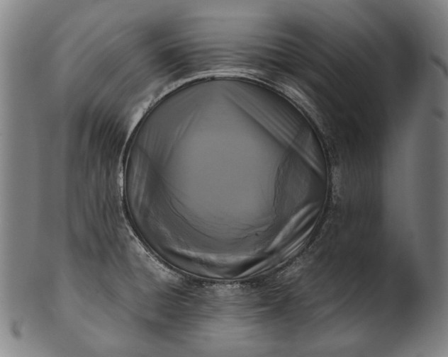 X0000101221428200807111046