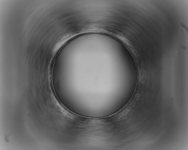 X0000101221430200807111046