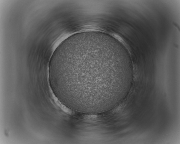 X0000101221431200807111046