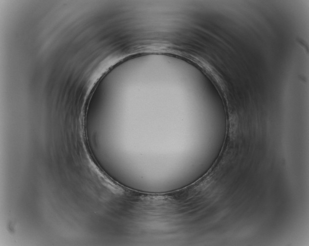 X0000101221432200807111046