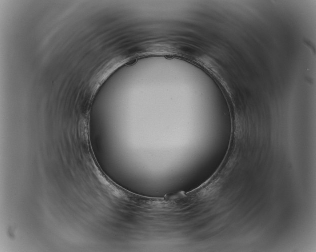 X0000101221433200807111046