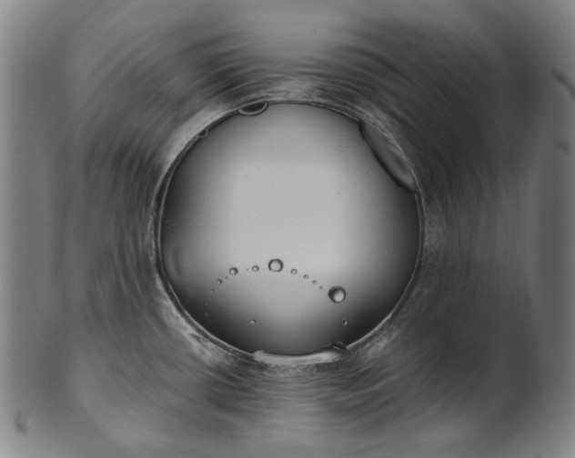 X0000101221434200807111046