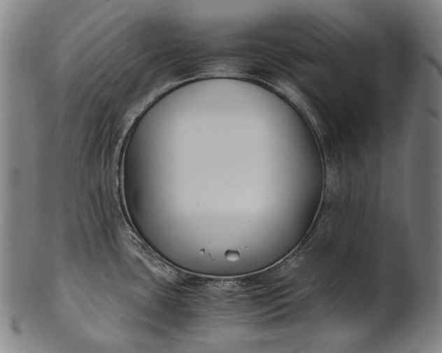 X0000101221435200807111046