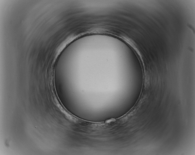 X0000101221437200807111046