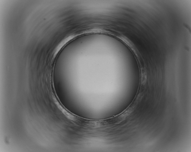X0000101221438200807111046