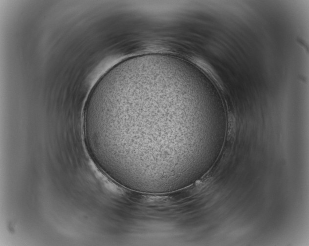 X0000101221439200807111046
